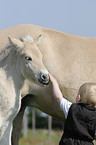 child with Fjord foal