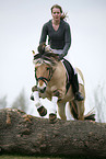 rider with norwegian horse