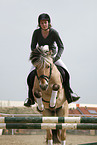 rider with norwegian horse