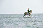 woman rides Fjord