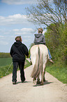 boy rides Fjord horse