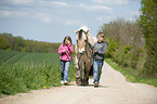 kids and Fjord horse