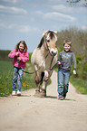 kids and Fjord horse