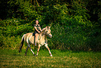 woman rides Fjordhorse