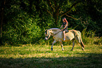 woman rides Fjordhorse