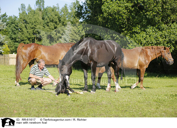 Mann mit neugeborenem Fohlen / man with newborn foal / RR-61617