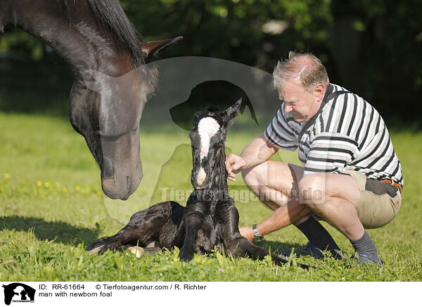 Mann mit neugeborenem Fohlen / man with newborn foal / RR-61664