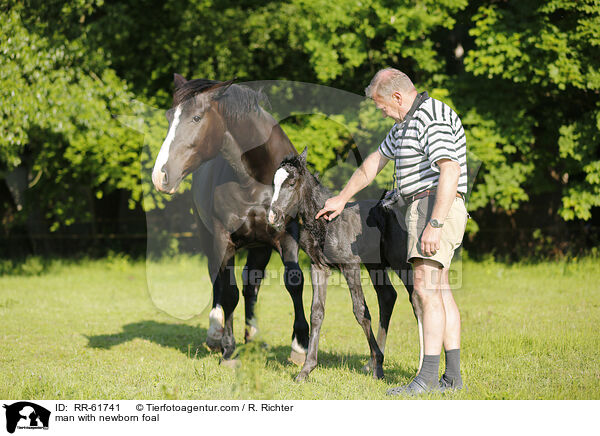 Mann mit neugeborenem Fohlen / man with newborn foal / RR-61741