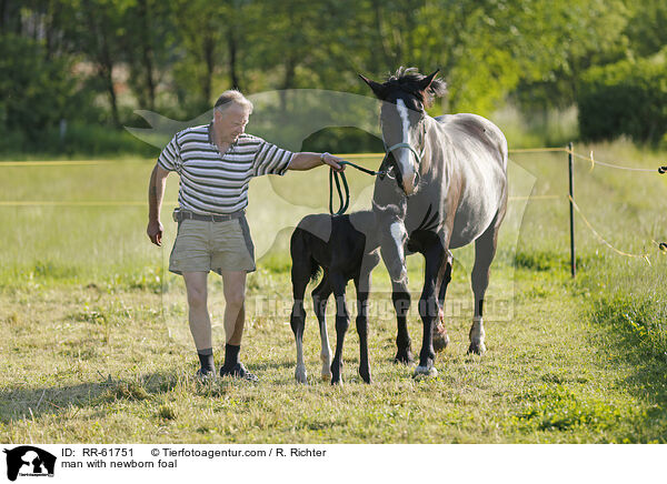 Mann mit neugeborenem Fohlen / man with newborn foal / RR-61751