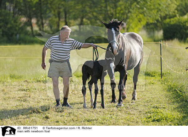 man with newborn foal / RR-61751