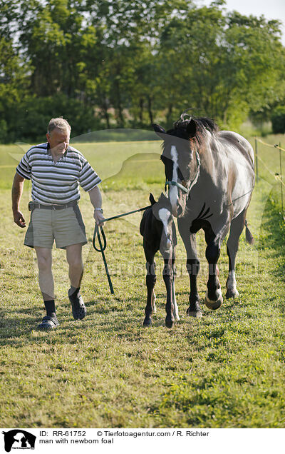 man with newborn foal / RR-61752