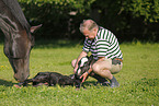 man with newborn foal