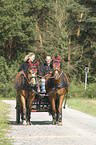 2 warmbloods with carriage