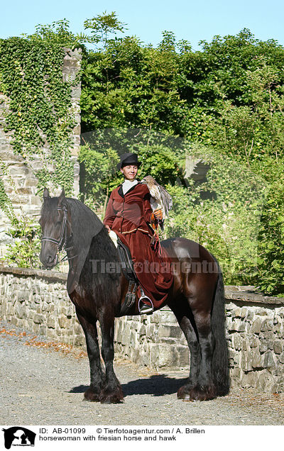 Reiterin mit Friese und Bussard / horsewoman with friesian horse and hawk / AB-01099