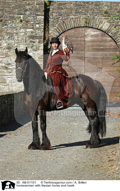 horsewoman with friesian horse and hawk / AB-01101