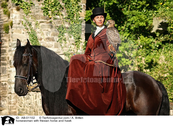 Reiterin mit Friese und Bussard / horsewoman with friesian horse and hawk / AB-01102