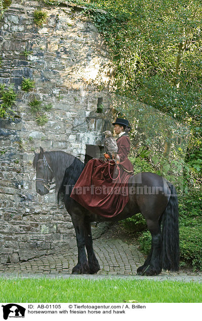 Reiterin mit Friese und Bussard / horsewoman with friesian horse and hawk / AB-01105