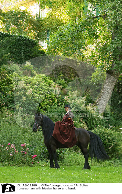 Reiterin mit Friese und Bussard / horsewoman with friesian horse and hawk / AB-01106