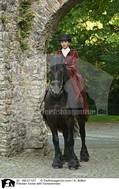 Friese und Reiterin / Friesian horse with horsewoman / AB-01107