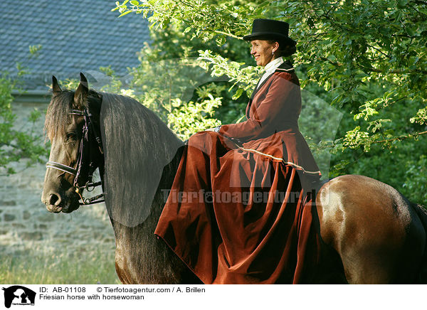 Friese und Reiterin / Friesian horse with horsewoman / AB-01108