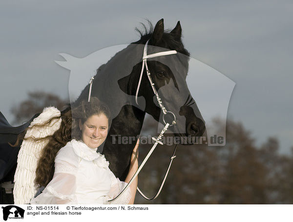 angel and friesian horse / NS-01514