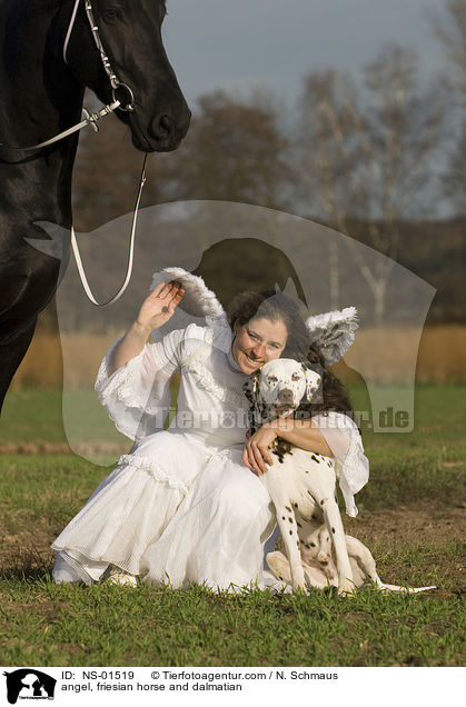 Engel, Friese und Dalmatiner / angel, friesian horse and dalmatian / NS-01519