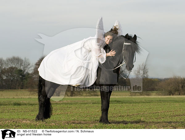 Engel und Friese / angel and friesian horse / NS-01522