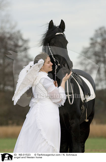 Engel und Friese / angel and friesian horse / NS-01523