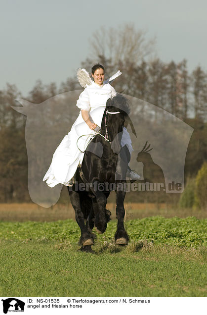 angel and friesian horse / NS-01535