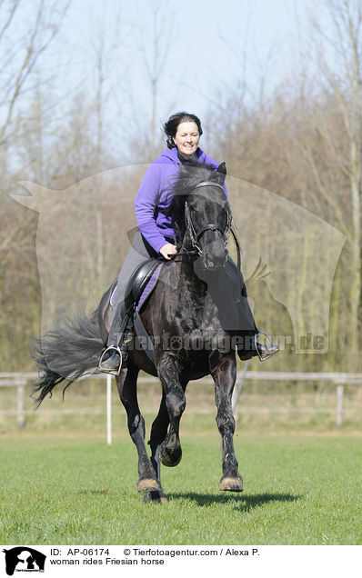 woman rides Friesian horse / AP-06174