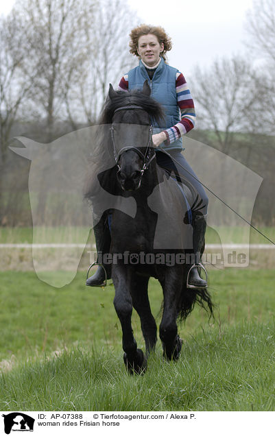 Frau reitet Friese / woman rides Frisian horse / AP-07388