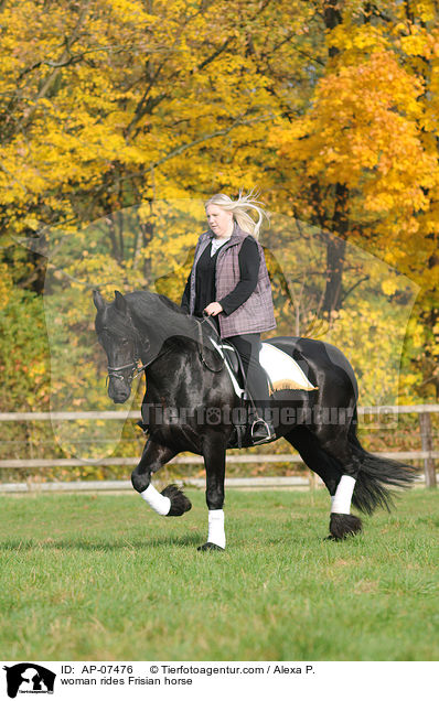 Frau reitet Friese / woman rides Frisian horse / AP-07476