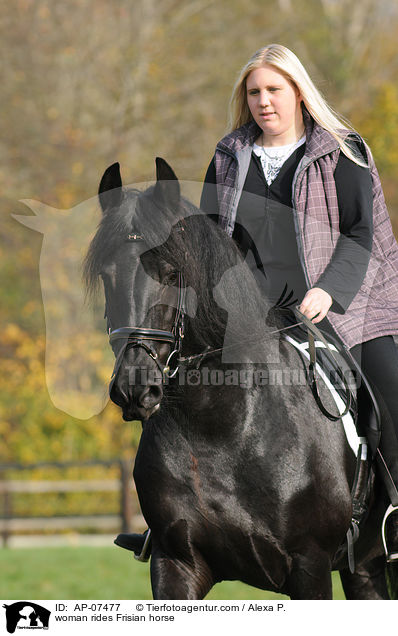 Frau reitet Friese / woman rides Frisian horse / AP-07477