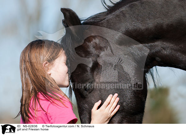 Mdchen und Friese / girl and Friesian horse / NS-02836