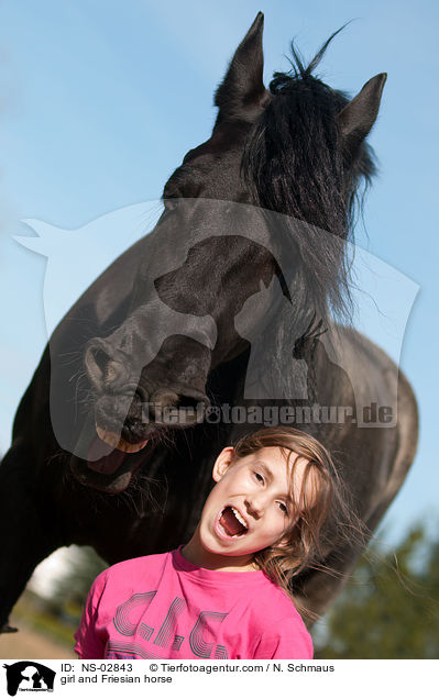 Mdchen und Friese / girl and Friesian horse / NS-02843