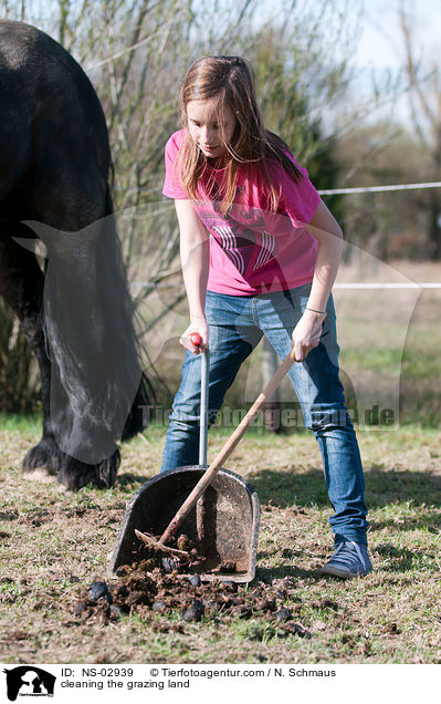 Koppel abppeln / cleaning the grazing land / NS-02939