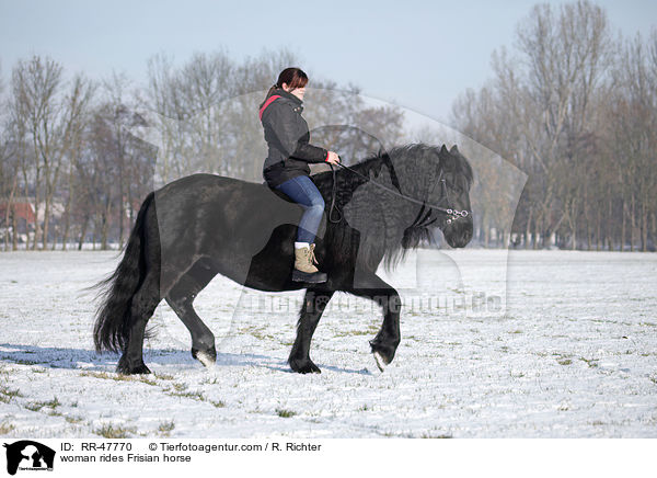 Frau reitet Friese / woman rides Frisian horse / RR-47770