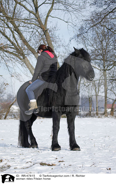 Frau reitet Friese / woman rides Frisian horse / RR-47815