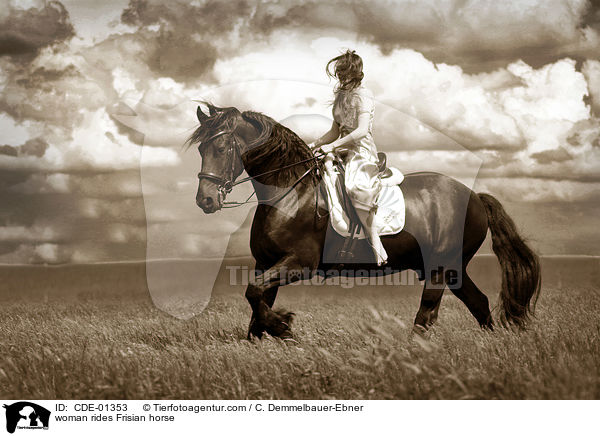 Frau reitet Friese / woman rides Frisian horse / CDE-01353