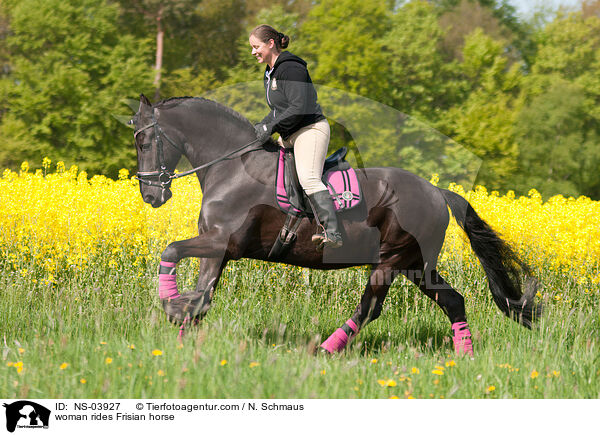 Frau reitet Friese / woman rides Frisian horse / NS-03927