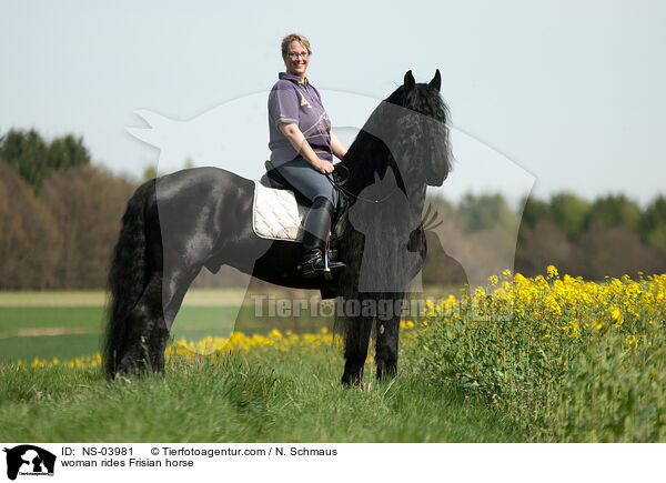 Frau reitet Friese / woman rides Frisian horse / NS-03981