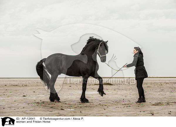 Frau und Friese / woman and Frisian Horse / AP-12641