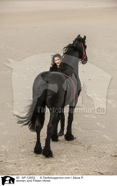 Frau und Friese / woman and Frisian Horse / AP-12652