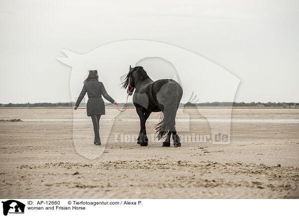 Frau und Friese / woman and Frisian Horse / AP-12660