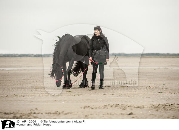 Frau und Friese / woman and Frisian Horse / AP-12664