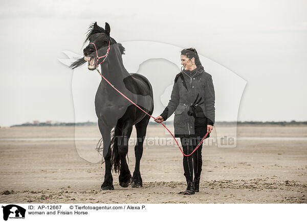 Frau und Friese / woman and Frisian Horse / AP-12667