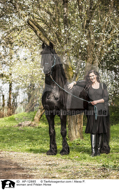 Frau und Friese / woman and Frisian Horse / AP-12885