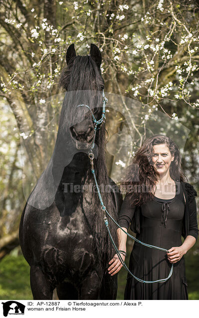 woman and Frisian Horse / AP-12887