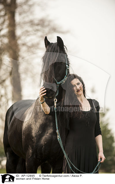 Frau und Friese / woman and Frisian Horse / AP-12895