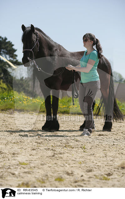 Gelassenheitstraining / calmness training / RR-83545